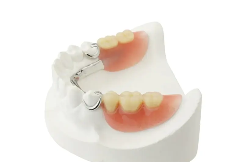 Denture material